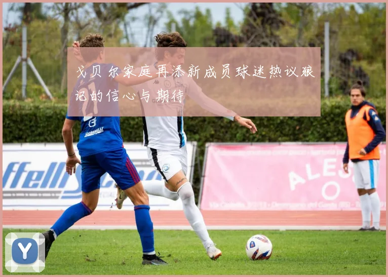 戈贝尔家庭再添新成员球迷热议狼记的信心与期待