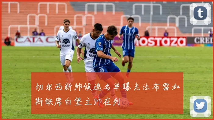切尔西新帅候选名单曝光法布雷加斯缺席白堡主帅在列