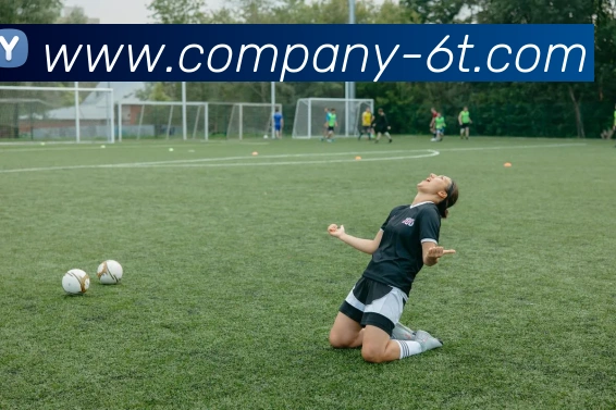 6T体育平台生态图