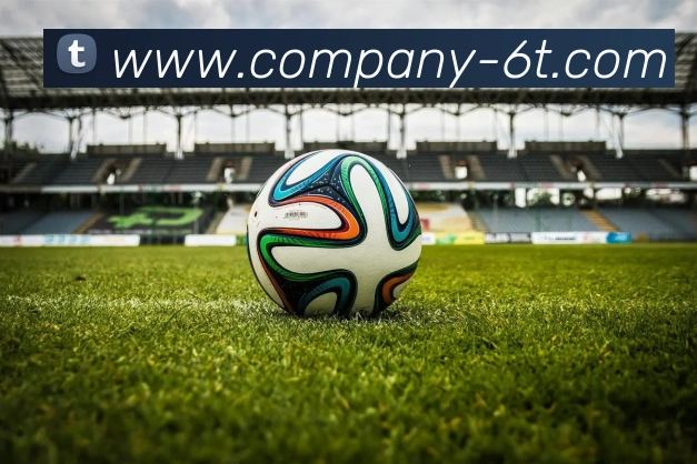 6T体育APP 封面图